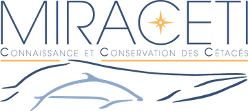 Miraceti — Connaissance et Conservation des Cétacés